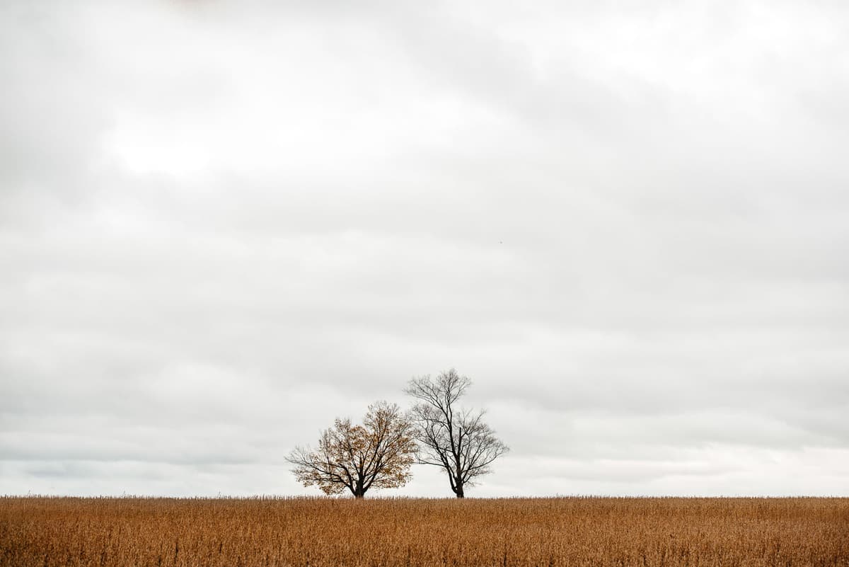 Composition Techniques for Striking Minimalist Images